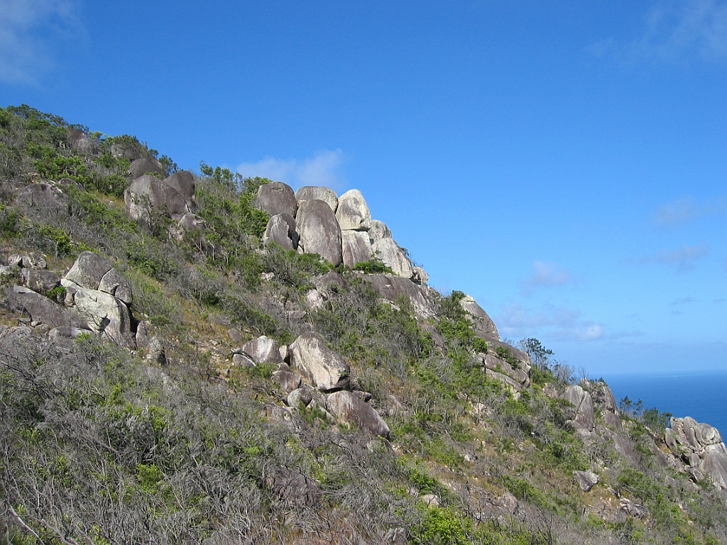 194 Fitzroy Island.jpg